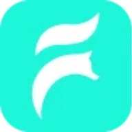 Dafoxtech logo